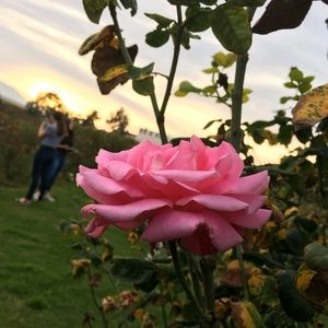 Meet your Posher, Aileen